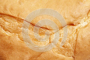 The texture of the crust of bread. Tasty fresh bread, close up