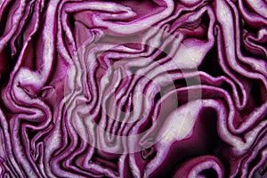 Texture of cut red cabbage as background