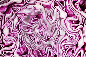 Texture of cut red cabbage, closeup