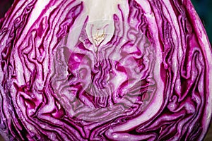 Texture of cut red cabbage, closeup