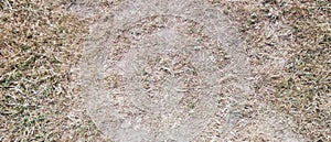 Texture of dead grass field