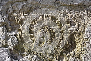 Texture of decorative plaster or concrete