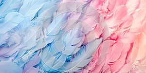 Texture of delicate blue and pink down feathers. Calmness and tranquility, tenderness