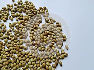 Texture of Dhaniya Seeds. Heap of a Coriander or Dhania Seeds isolated in a white Background