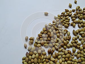 Texture of Dhaniya Seeds. Heap of a Coriander or Dhania Seeds  in a white Background