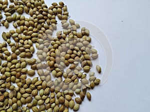 Texture of Dhaniya Seeds. Heap of a Coriander or Dhania Seeds  in a white Background