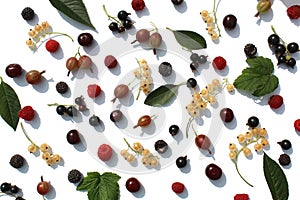 Texture from different berries on a white background.