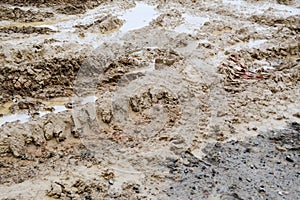 Texture of a dirty bad dirt road dirt road with puddles and clay drying mud with cracks and ruts. Off-road. The background