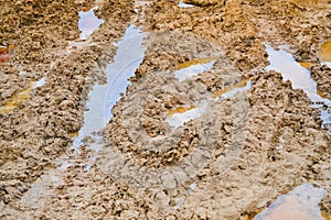 Texture of a dirty bad dirt road dirt road with puddles and clay drying mud with cracks and ruts. Off-road. The background