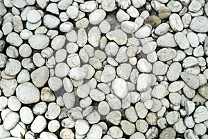 Texture dirty pebble stone. Background of gray sea