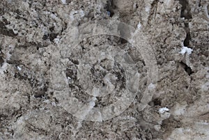 Texture of dirty snow close-up.