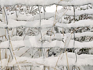 Texture double chainlink fence snow-covered