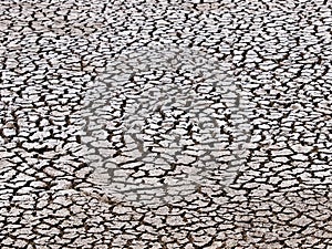 Texture of dried crack thick mud earth floor of a shrimp farm pond