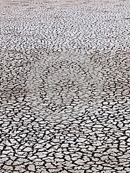 Texture of dried crack thick mud earth floor of a shrimp farm pond