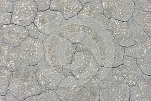 Texture of dried gray mud, dried earth