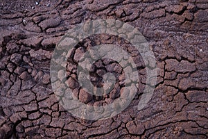 texture of dried soil after heavy rain