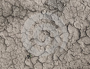 Texture drought parched earth