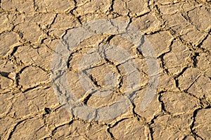 Texture of dry chunks earch soil