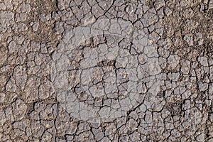 Texture of dry cracked chernozem soil black soil