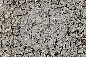 Texture of dry cracked chernozem soil black soil photo