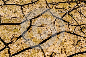 The texture of dry cracked clay soil. Cracks and fractures on the earth`s surface.