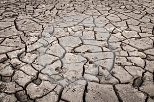 Texture of dry cracked earth. Desert, concept of time of drought and global warming
