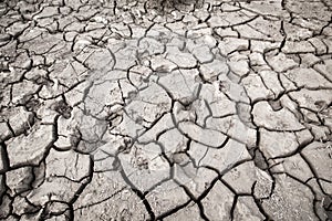 Texture of dry cracked earth. Desert, concept of time of drought and global warming