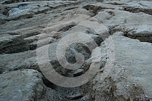 Texture of dry cracked ground. The desert background. The shortage of water on the planet. Deep cracks in the brown land