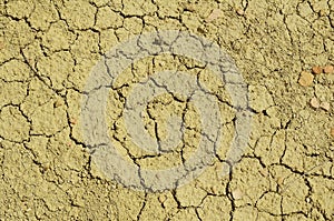 Texture of dry cracked soil