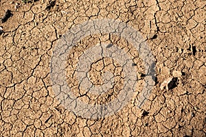 Texture dry soil background pattern of drought lack of water