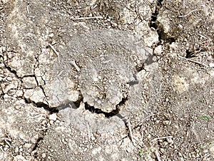 Texture of dry cracked soil due to global warming effect, aridity, drought. Top view. Nature background