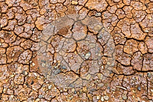 Texture of dry cracked soil loamy. Abstract .