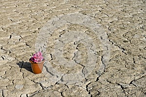 Texture of dry land in southern Europe. Global warming and greenhouse effect