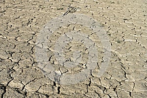 Texture of dry land in southern Europe. Global warming and greenhouse effect. photo