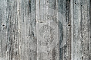 Texture of dry old boards, swirls of wood.