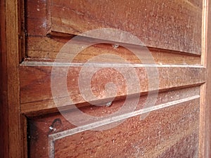 The texture of a dull wooden door