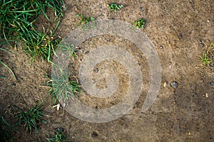 Texture of the earth with grass, cobblestones, stones.mountain landscape, steppe, forest-steppe