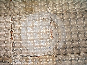 TEXTURE OF EGG ALVEOLE