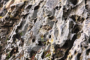 Texture of eroded rock with holes