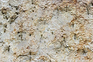 Texture of erose and perforated stone wall