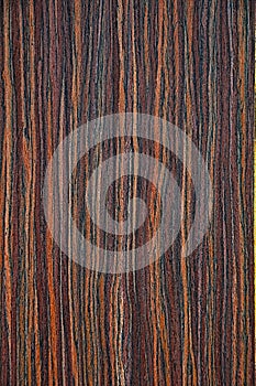 The texture of an exotic tree. The background wood.