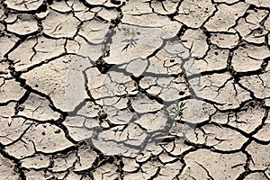 Texture of extremelly dry cracked soil with small blade of grass