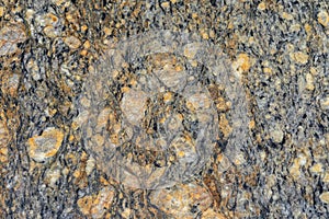 texture of eye gneiss stone gemology