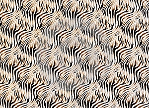 Texture of fabric stripes zebra