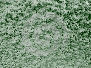 Background, border, texture or pattern - Wall textured - Green photo