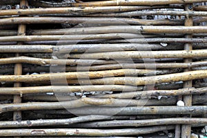 Texture fence of thin branches. Many wooden rods fixed to each other