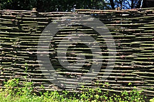 The texture of a fence woven from branches, vines, twigs and sticks. Natural old fences