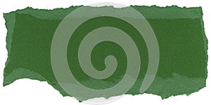 Isolated Fiber Paper Texture - Fern Green XXXXL