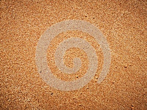 Texture of fine golden coastal sand. Lines in the sand of a beach.