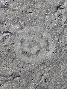 The texture of fine gray sea sand with small stones